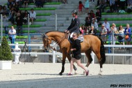 Patrice Delaveau and Ornella Mail HDC - 2014 Test Events - Jumping - ©PSV Photos