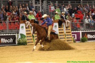Reining 26th August - ©PSV Photos