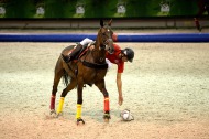 Horse Ball - August 27th - ©PSV Photos