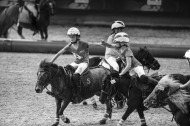 Match de Shetland de Horse ball / 30 août 2014 - ©Sindy Thomas