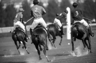Polo Exhibition Game - Deauville - ©Sindy Thomas